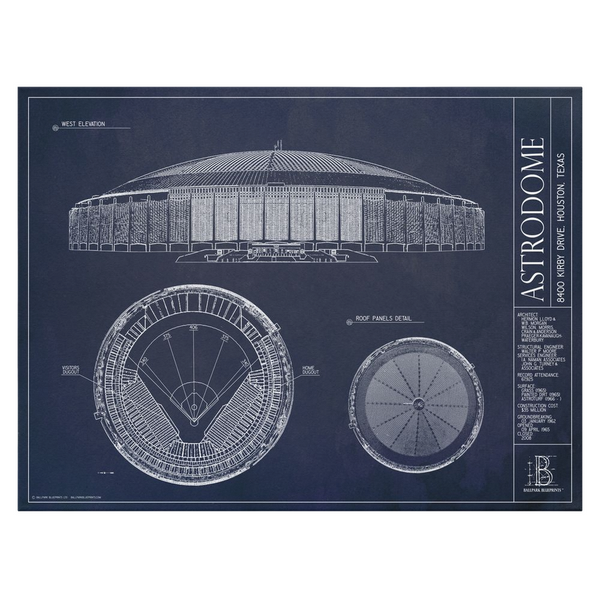 Astrodome 36x48" Canvas Wraps