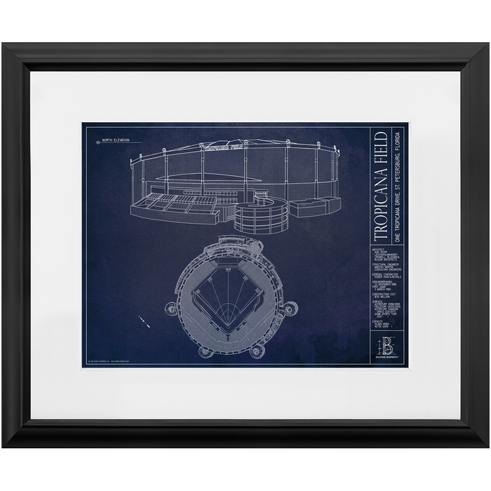 Tampa Bay Rays — Blueprint