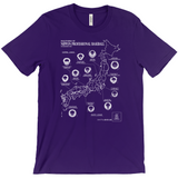 Apparel-DTG-TShirt-Bella-3001-S-Purple-Mens-CF-20230308111951363