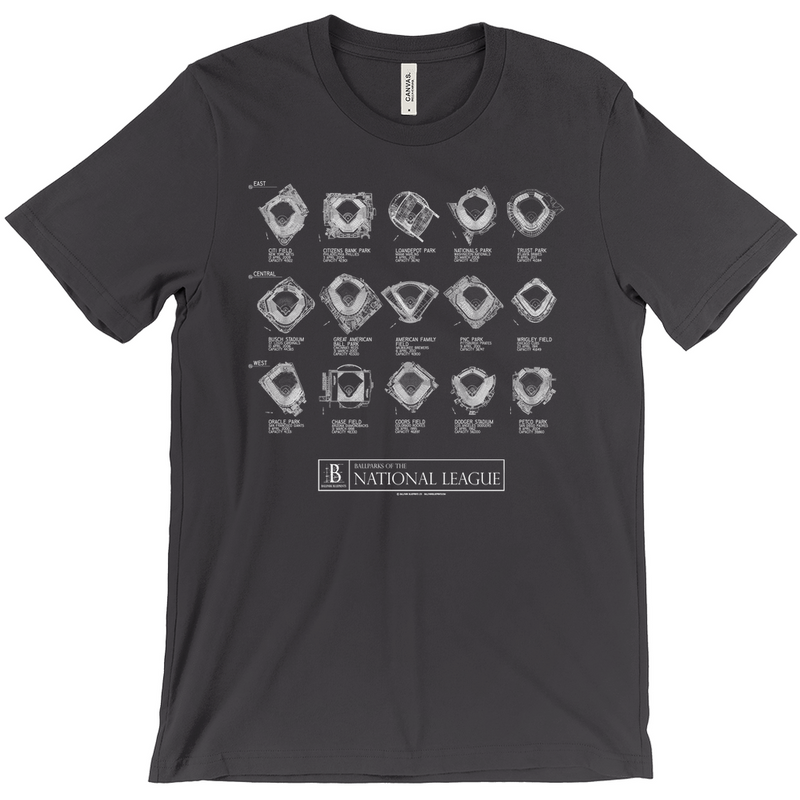 Apparel-DTG-Tshirt-Bella-3001-L-DarkGrey-Mens-CF-20250326112515923