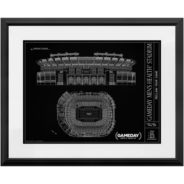 Gameday Stadium Framed Prints