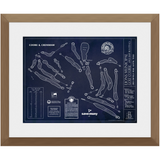 Lions Municipal Golf Course