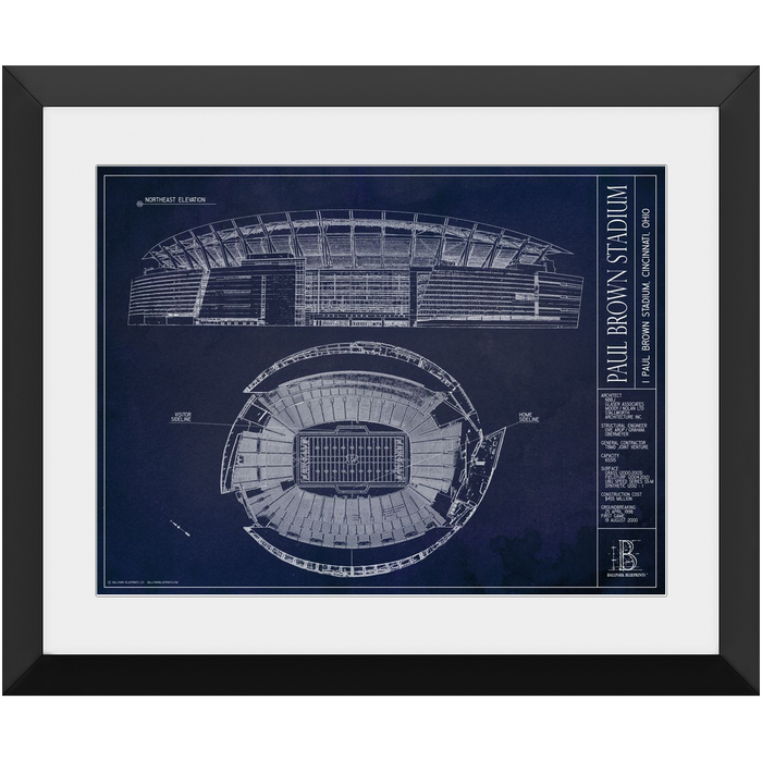 Cincinnati Bengals — Blueprint
