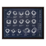 Ballparks of the American League - Updated 2025 (Tropicana Field)