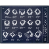 Ballparks of the American League - Updated 2025 (Tropicana Field)