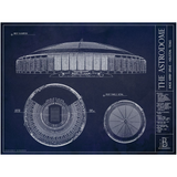 Astrodome - Houston Oilers (Football Orientation)