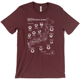 Apparel-DTG-Tshirt-Bella-3001-S-Maroon-Mens-CF-20230308111951363