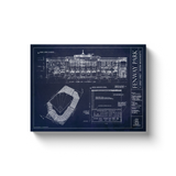 generated-proPreview-11