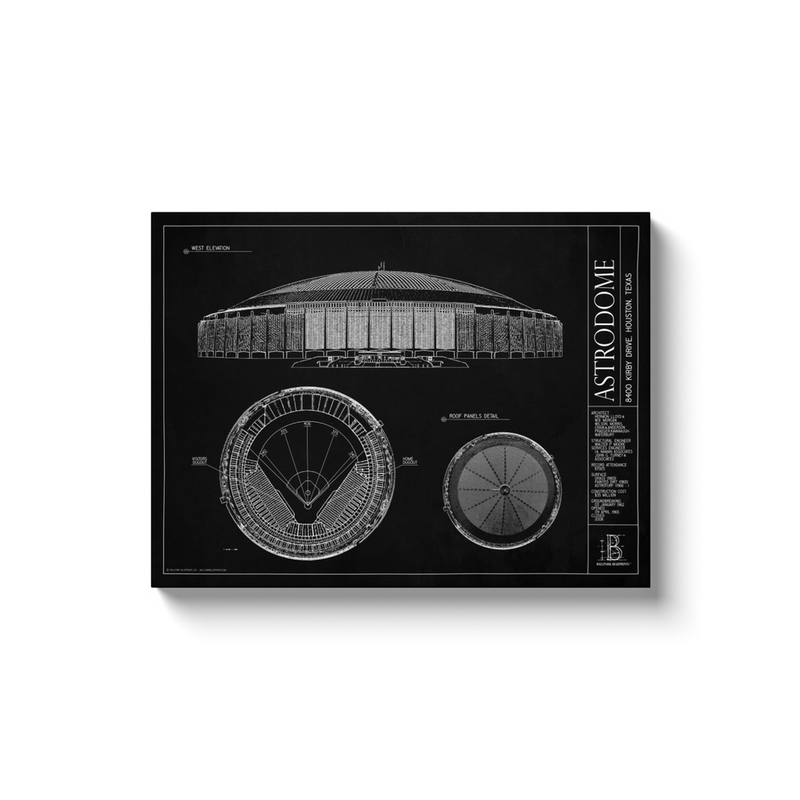 Astrodome 18x24" Canvas Wrap - Black
